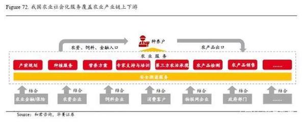 农业科技驱动畜牧渔业饲料革新 第一产业信息化浪潮蓄势待发