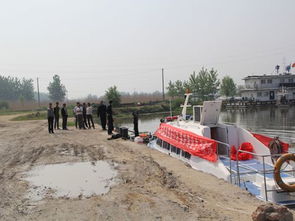 固镇县畜牧兽医水产局开展渔业资源增殖人工放流活动 促进生态渔业发展