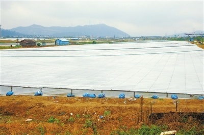 巧用糖水与“棉被” 专家与养殖户联手，科学应对寒潮守护畜禽菜篮