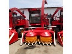 云芝蘑种植与畜牧渔业饲料产业协同发展探析