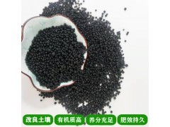 现代农业产业链全景 从种植养殖到绿色发展的多元化生态