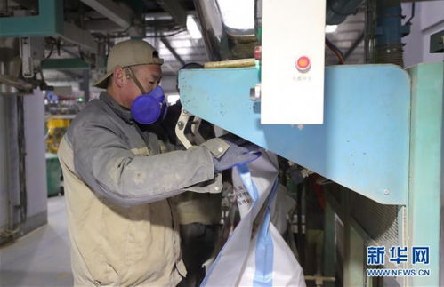 沈阳多措并举保障饲料与畜牧产品供应，为畜牧渔业稳产提供坚实支撑