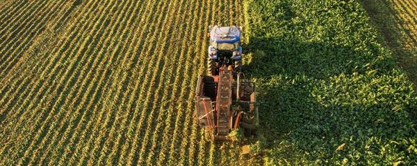 农业的主要产业形式及其组成