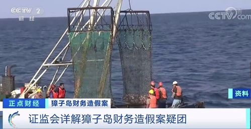 獐子岛扇贝六年四逃之谜 北斗卫星揭穿弥天大谎，畜牧渔业饲料警示录